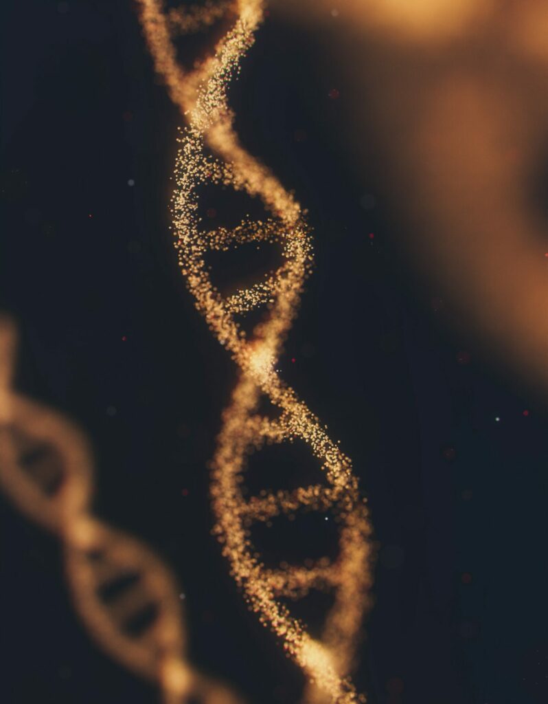 longevity-coaching-laurent-erasme-formation-dna-adn